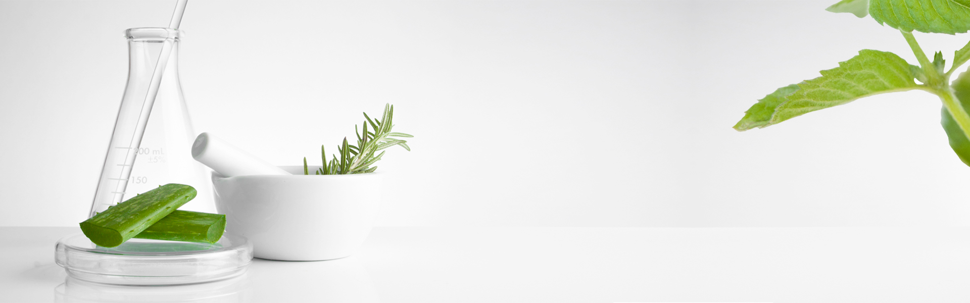 Laboratoire Phytotech